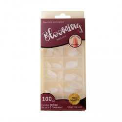 Oval shape clear 100 Psc.